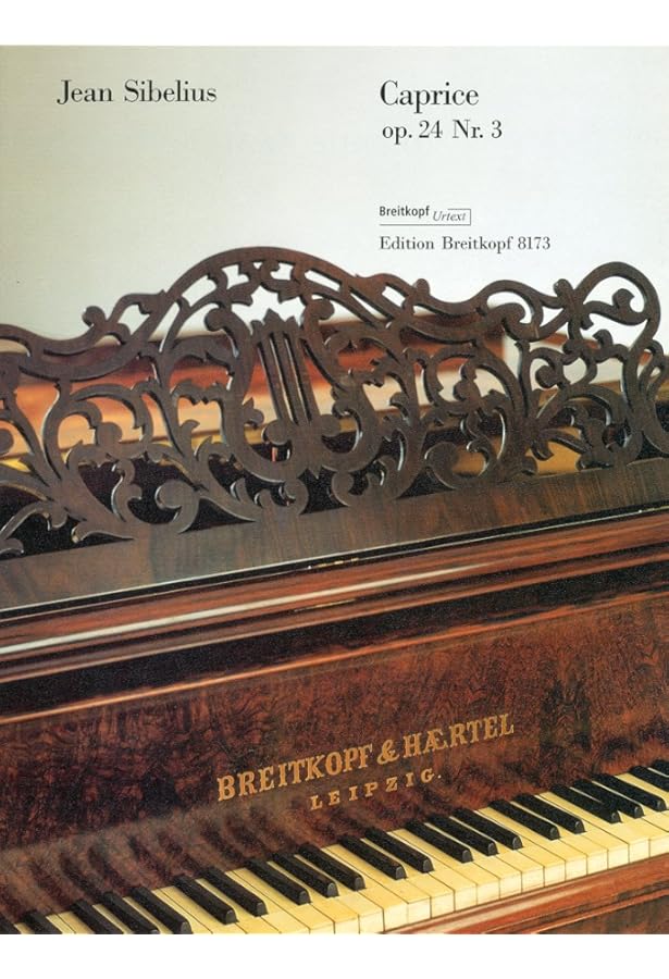 シベリウス: ピアノのための10の小品 Op.24/ブライトコップ & ヘルテル